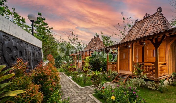 Homestay Sejuk Rindang Gunung Kidul Jogjakarta