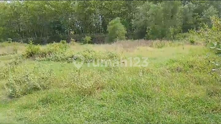 Tanah Zona Merah Kebakramat