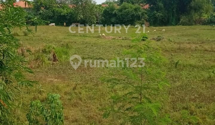 Tegal Panjang Cibarusah Bekasi West Java Land