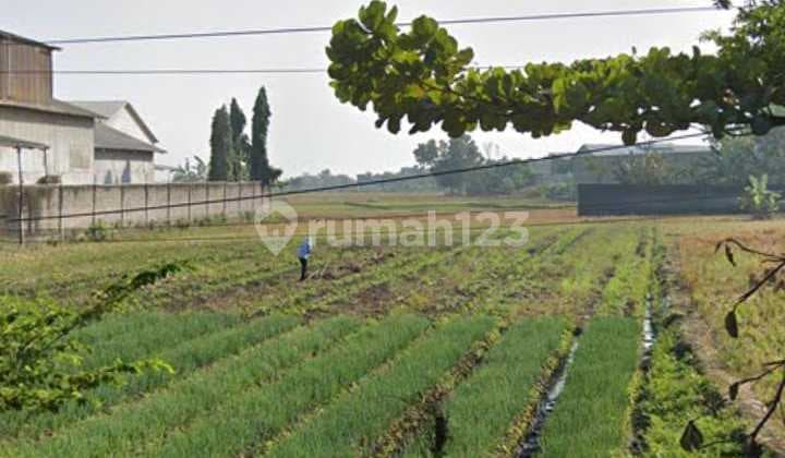 Lahan Zona Industri Lokasi Masaran,Sragen Luas 3600M2