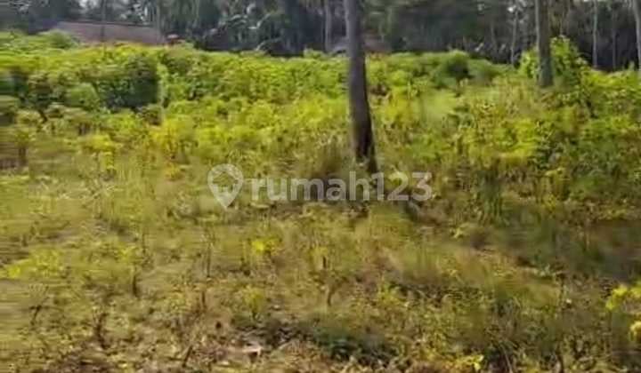 Lahan Pekarangan Lokasi Pengasih, Yogyakarta Luas 1 Ha