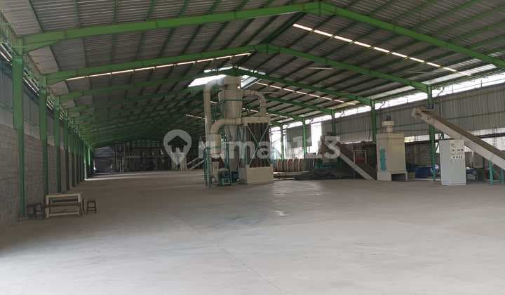 Pabrik Pelet Kayu Siap Operasi Lokasi Bawen, Semarang Luas 3 Ha