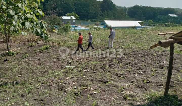 Lahan Zona Industri Lokasi Tangen,Sragen Luas 41 Ha