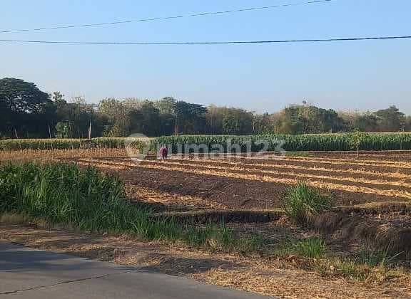 Lahan Zona Industri Lokasi Sumberlawang, Sragen Luas 50 Ha