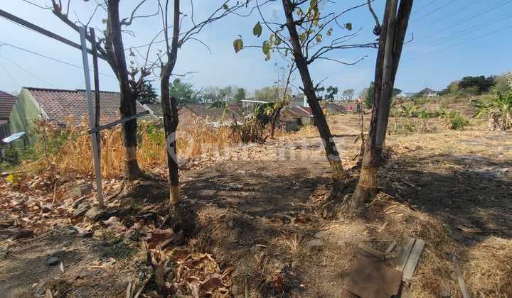 Yellow Zone Land Location Gondangrejo, Karanganyar Area 4400M2