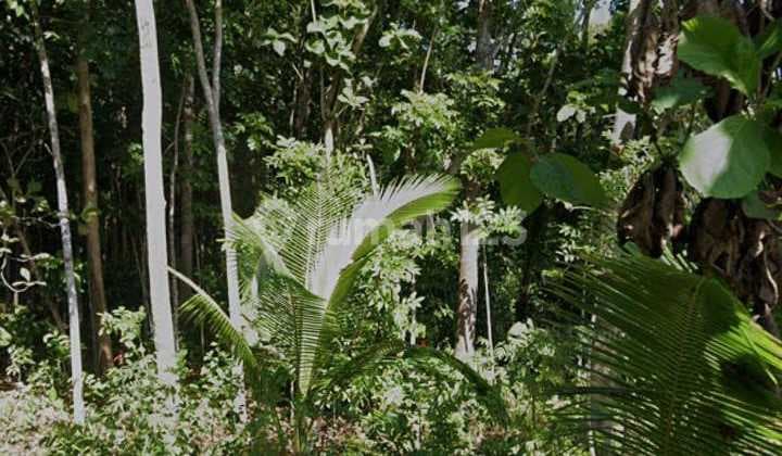 Lahan Pekarangan Lokasi Pengasih,Yogyakarta Luas 5 Ha