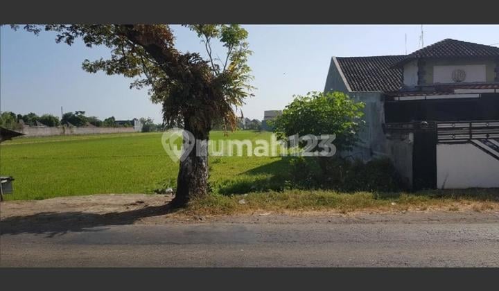 Yellow Zone Land, Strategic Location in Baki, Sukoharjo, Area 1326m2