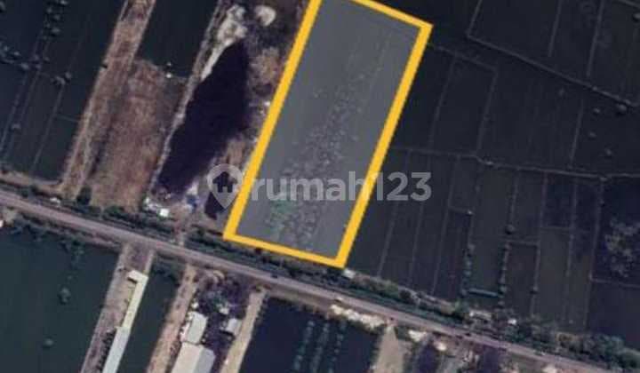 Industrial Zone Land in Kaliwungu, Kendal, Area 2 Hectares