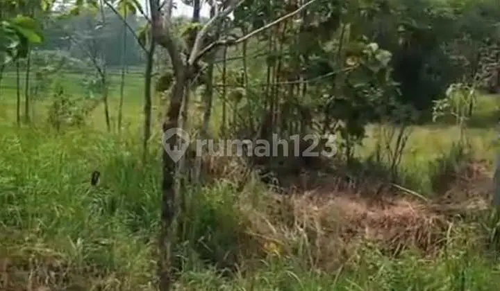Industrial Zone Land, Strategic Location Bendosari, Sukoharjo, Area 13 Hectares!!