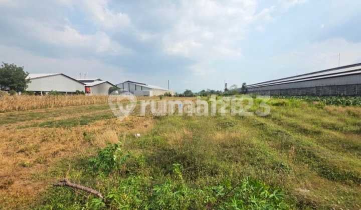 Lahan Zona Industri Lokasi Strategis Klaten Luas 4400M2