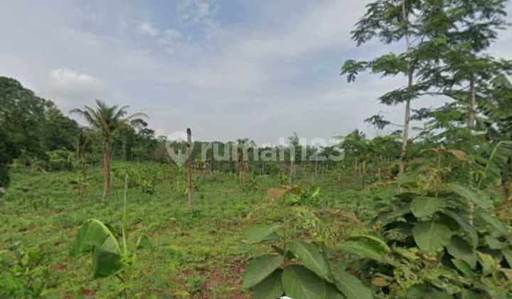 Lahan Industri Lokasi Batang Luas 100 Ha
