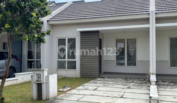 Sell Cheap Bianca Suvarna Sutera Cluster