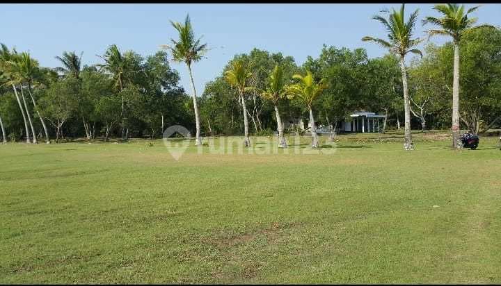 Dijual Tanah di Jalan Raya Panimbang, Tanjung Lesung.