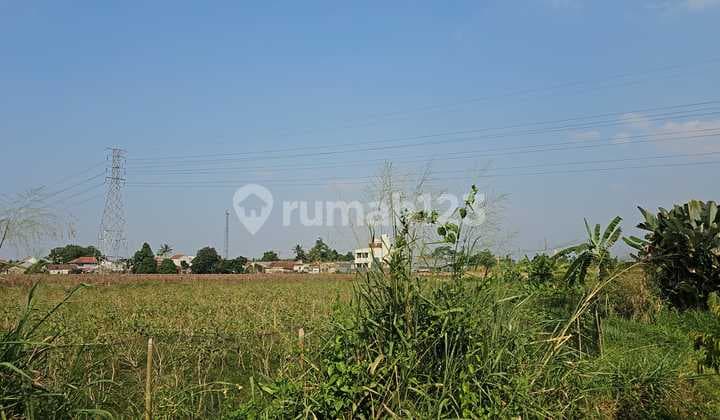 Dijual Lahan di Dramaga Bogor di pinggir jalan besar. cocok buat usaha Resto, show room ukuran 1.2Ha