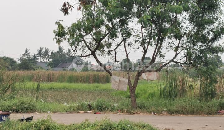 Dijual Cepat Murah Tanah Di Batu Ceper Jl. Karang Anyar Kota Tangerang Luas 5600 M2 Cocok Untuk Gudang