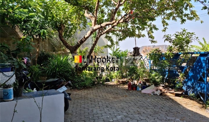 Rumah Siap Huni di Jangli