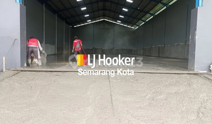 New warehouse in the Banjardowo area New warehouse in the Banjardowo area