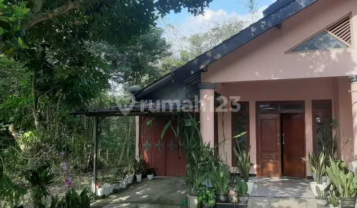 Rumah Murah Nyaman Dan Bagus di Grobogan