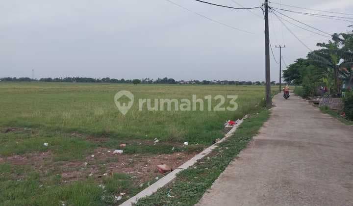 Jual Murah Kavling Pinggir Jalan Di Sukawangi Kabupaten Bekasi Jawa Barat