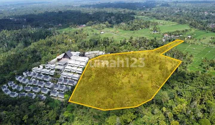 Hot List Di Jual Tanah View Sawah Hutan Dan Sungai Lokasi Bukian Payangan Ubud Gianyar
