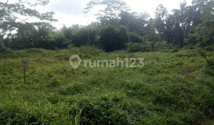 Hot List Di Jual Tanah View Sungai Dan Hutan Lokasi Petulu Ubud