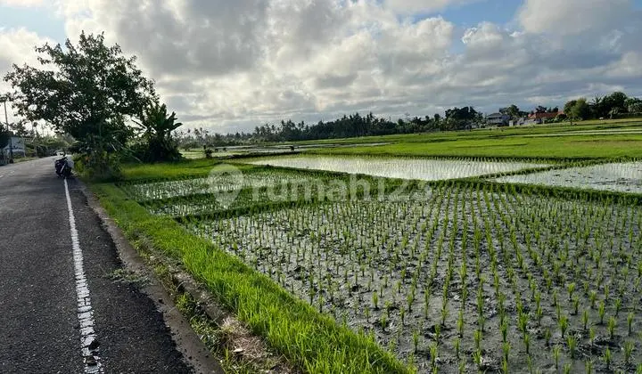 Hot List Di Jual Tanah Lokasi Pangkung Tibah Tabanan