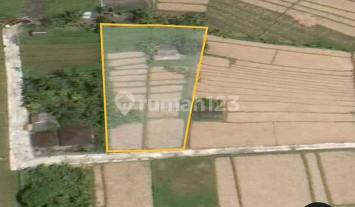 Hot List Di Jual Tanah View Gunung Sawah Dan Sunset Lokasi Nyanyi Tabanan