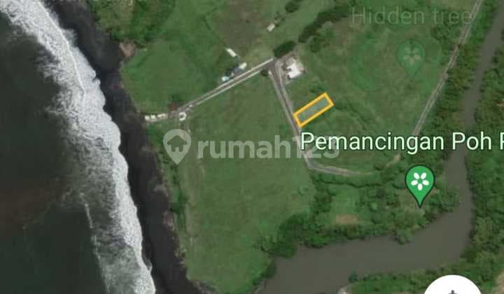 Hot List Di Jual Tanah Jalan Utama Lokasi Pantai Nyanyi Tabanan