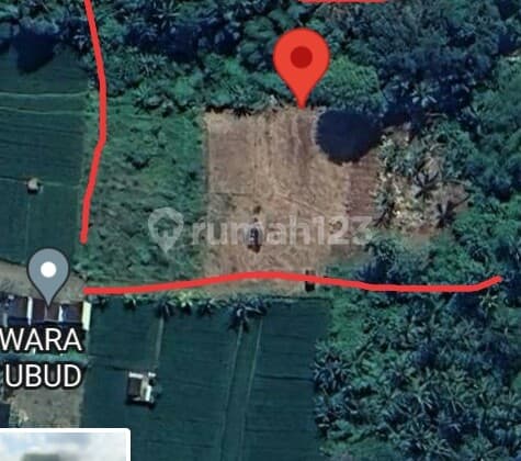 Hot List Di Jual Tanah Loss Sungai View Sawah Sungai Dan Gunung Lokasi Singakerta Ubud Gianyar