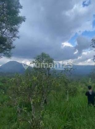 JUAL TANAH DI KINTAMANI