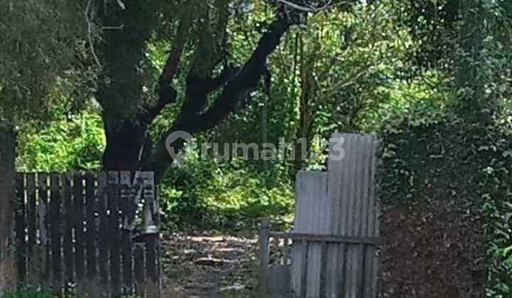 Hot List Di Jual Tanah Loss Sungai View Sungai Lokasi Jalan Sempol Pererenan Canggu
