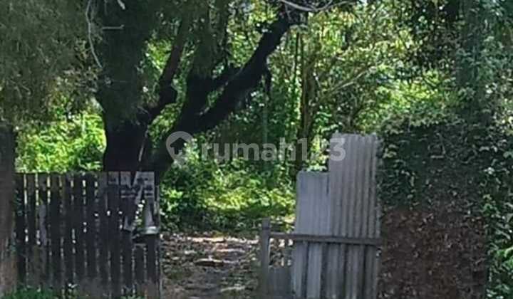 Hot List for Sale of Loss of River River View Land Location Jalan Sempol Pererenan Canggu