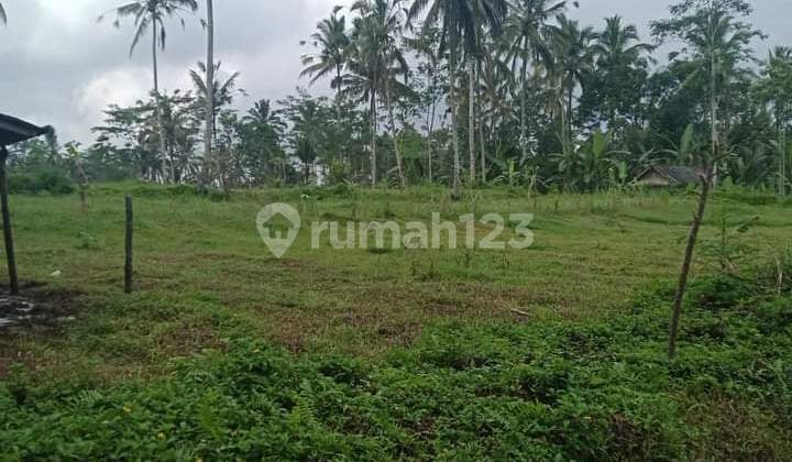 Hot List Di Jual Tanah Lokasi Tegallalang Ubud Gianyar Hot List Di Jual Tanah Lokasi Tegallalang Ubud Gianyar