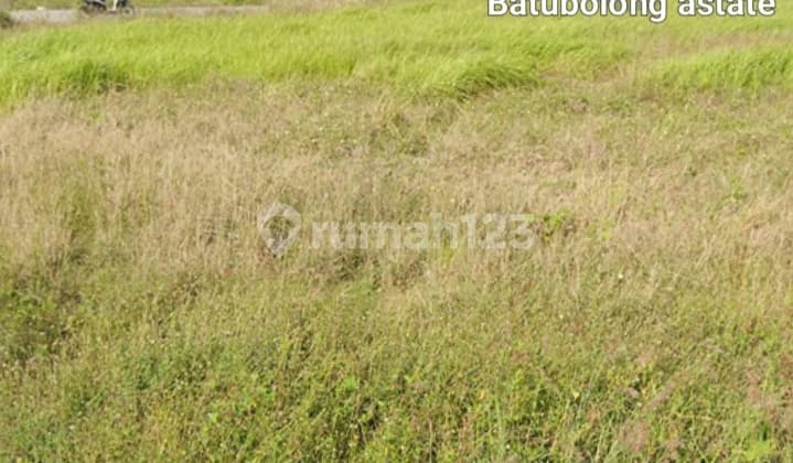 Hot List of Land for Sale in Batu Bolong Canggu, North Kuta