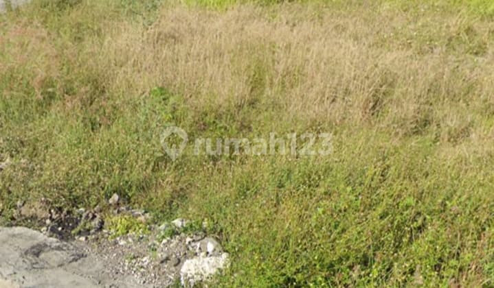 Hot List of land for sale in Sempol Canggu, North Kuta