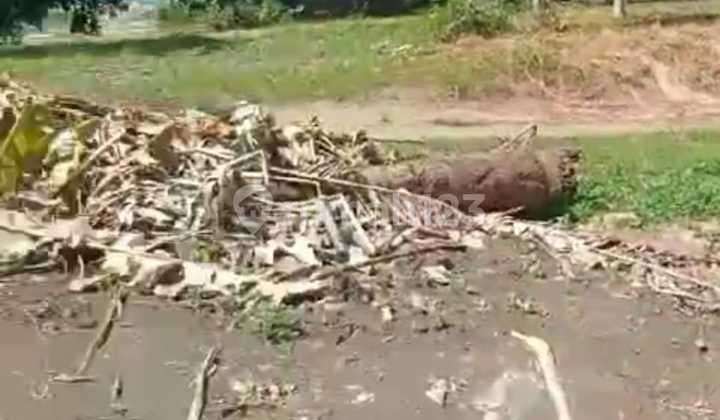 Hot List Di Jual Tanah Beachside Lokasi Batu Belig Banjar Sari Kuta Utara Badung