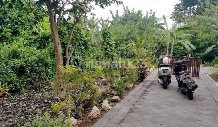 HOT LIST TERMURAH DI KELASNYA DI JUAL TANAH LOKASI JIMBARAN BAWAH KUTA SELATAN KUTA SELATAN BADUNG