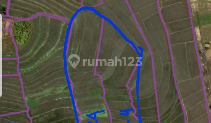 TOP URGENT FOR SALE LAND LOCATION CEMAGI MENGWI BADUNG
