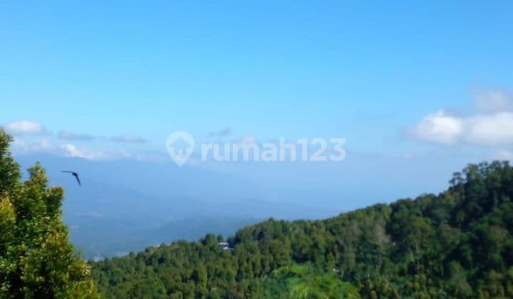 TOP URGENT FOR SALE LAND LOCATION MUNDUK BANJAR BULELENG