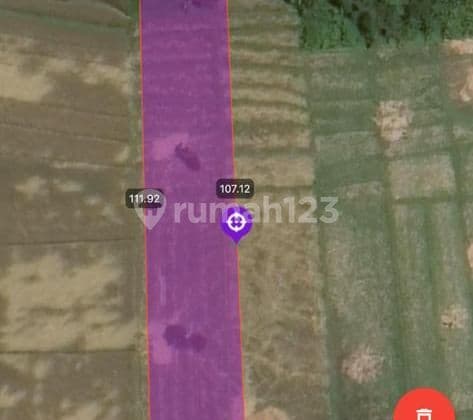 TOP URGENT DI JUAL TANAH VIEW LAUT & SAWAH LOKASI KEDUNGU BELALANG KEDIRI TABANAN