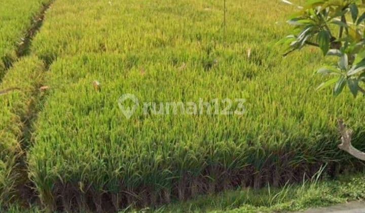 TOP URGENT DI JUAL TANAH LOKASI PERERENAN CANGGU KUTA UTARA BADUNG