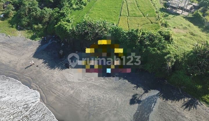 DEFINITELY DEAL FOR SALE LOSS BEACH VIEW SEA LOCATION LOCATION SUDIMARA GUBUG TABANAN