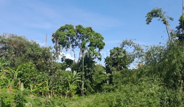 SURELY CLOSED FOR SALE LAND IN KAYU TULANG CANGGU NORTH KUTA BADUNG LOCATION