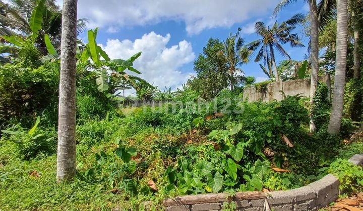 DEFINITELY CLOSING FOR SALE RIVER VIEW LAND & FIELD LOCATION TEBONGKANG UBUD GIANYAR