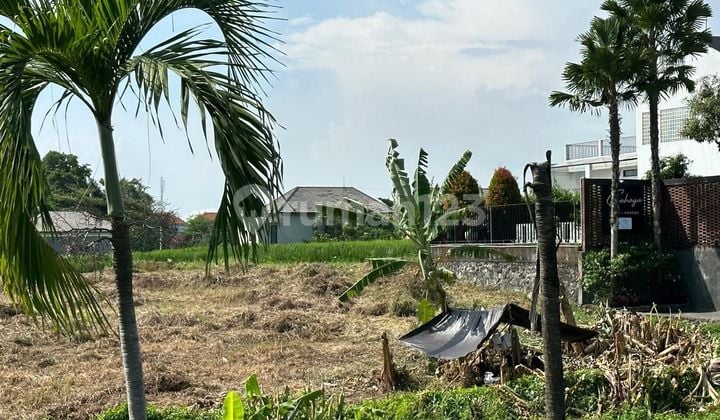 SURE CLOSING FOR SALE LAND IN BRAWA CANGGU NORTH KUTA BADUNG LOCATION
