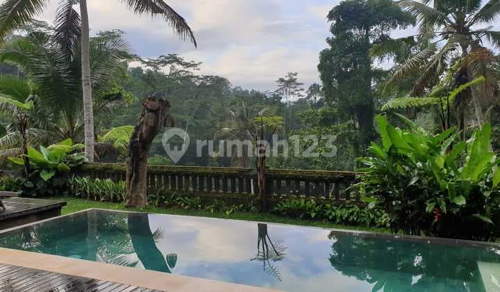 TOP URGENT DI JUAL VILLA COMPLEX DENGAN VIEW HUTAN LOKASI PAYANGAN UBUD
