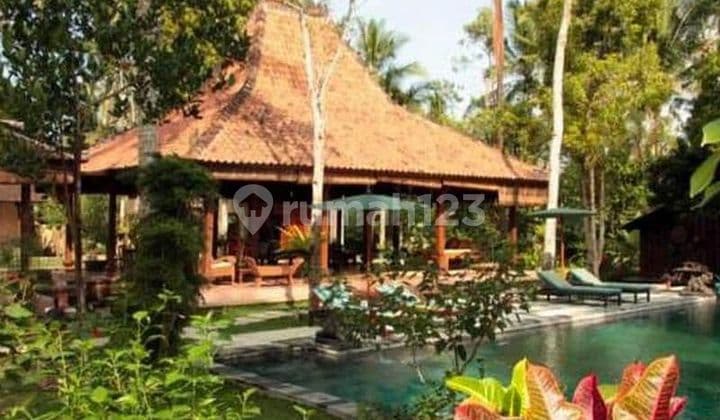 TOP URGENT DI JUAL VILLA LOKASI PAYANGAN UBUD GIANYAR VIEW HUTAN .
