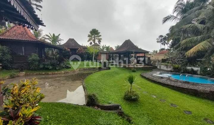 Hot List For Sale Villa Location Tegallalang Ubud Gianyar