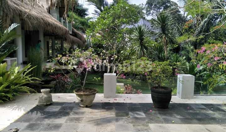 Hot List for Sale Villa Loss Sungai Cepaka River View Location Munggu Mengwi Badung
