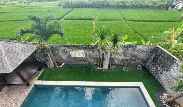 Hot List Di Jual Villa View Sawah Lokasi Batu Belig Seminyak Kuta